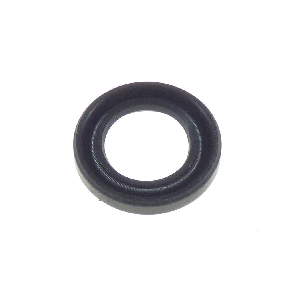 Shaft seal 16x22x4 (Travel & Travel XP)